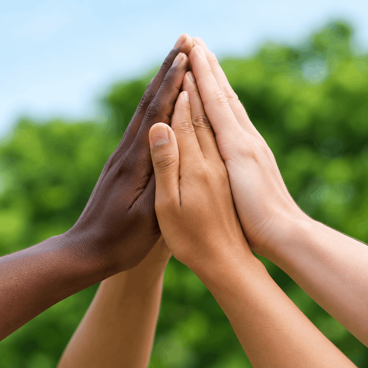 SOCIAL STEWARDSHIP
