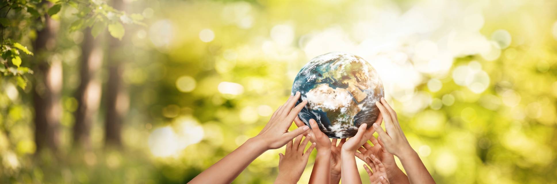 SUSTAINABILITY AT HEART